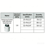 LESSO Female Thread Reducing Straight Coupling (with Stainless Steel Clamp), PVC-U Water Supply Fitting, Blue, dn25×RC1/2" - Image 2