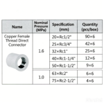 LESSO Copper Female Thread Straight Coupling (PVC-U Water Supply Fitting) Blue dn63×RC2 - Image 2